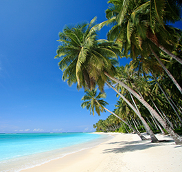 Travel & Tourism - worldwide travel agency